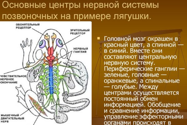 Где взять ссылку на кракен